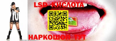 индика Новокубанск