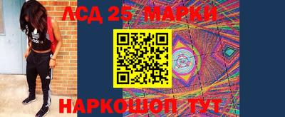 хмурый Новозыбков