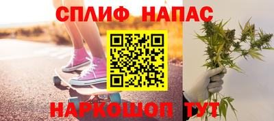 индика Новокубанск