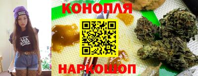 индика Новокубанск