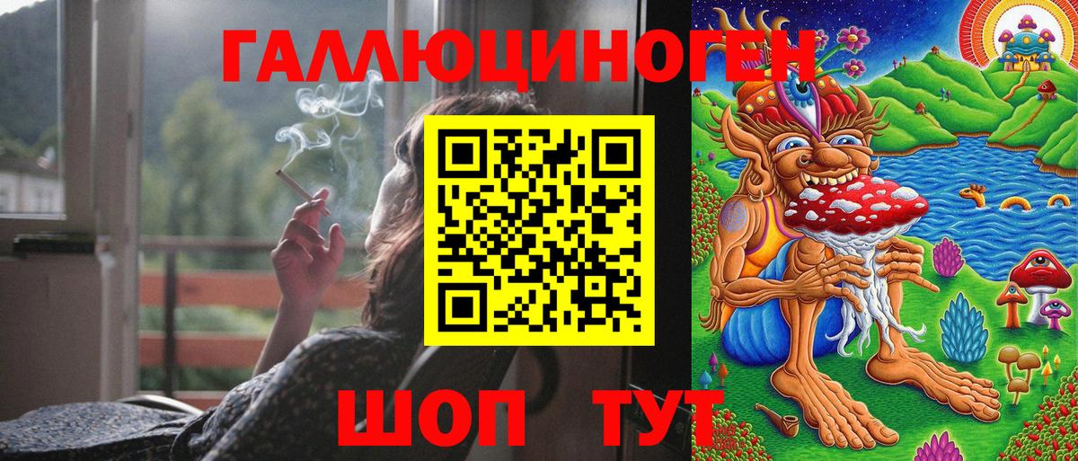 Галлюциногенные грибы Psilocybe Ртищево
