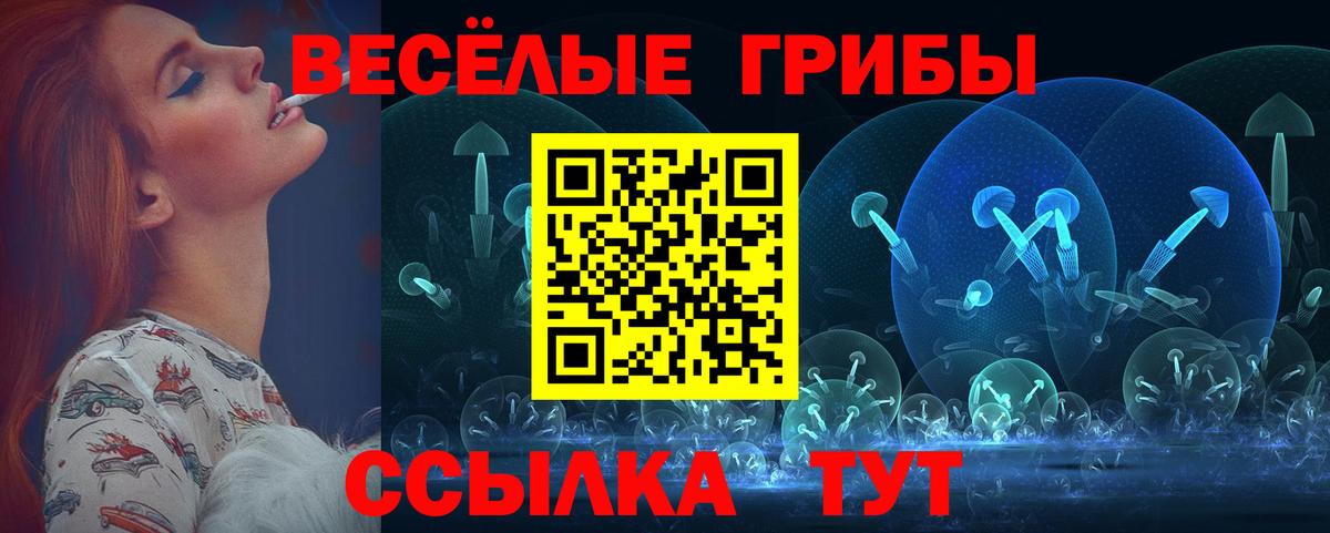 наркотики  Псилоцибиновые грибы Magic Shrooms  Вход с VPN  Ртищево 